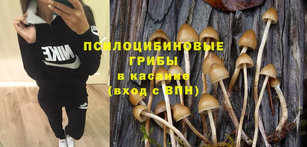 метадон Алексеевка