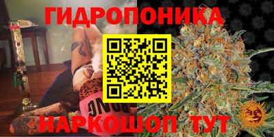 молекула духа Кандалакша