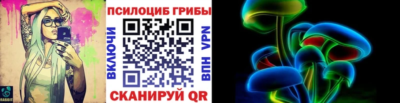 Галлюциногенные грибы Psilocybine cubensis  Набережные Челны 
